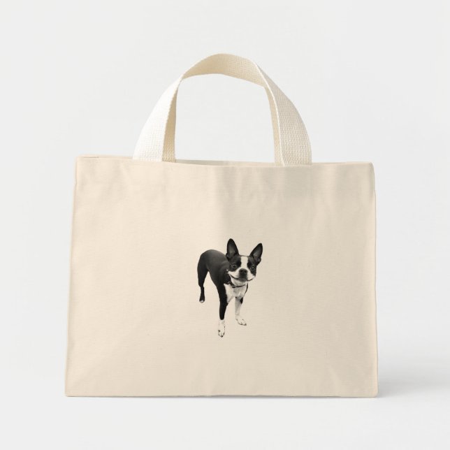 smiling doggie bag (Front)
