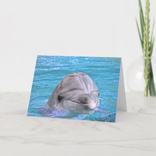 Smiling Dolphin Card