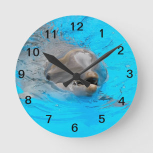 Smiling dolphin clock