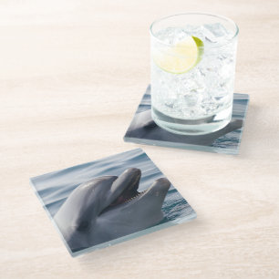 Smiling Dolphin Close‑Up Over Sparkling Blue Water Glass Coaster