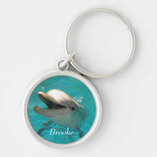 Smiling Dolphin Key Ring (Front)