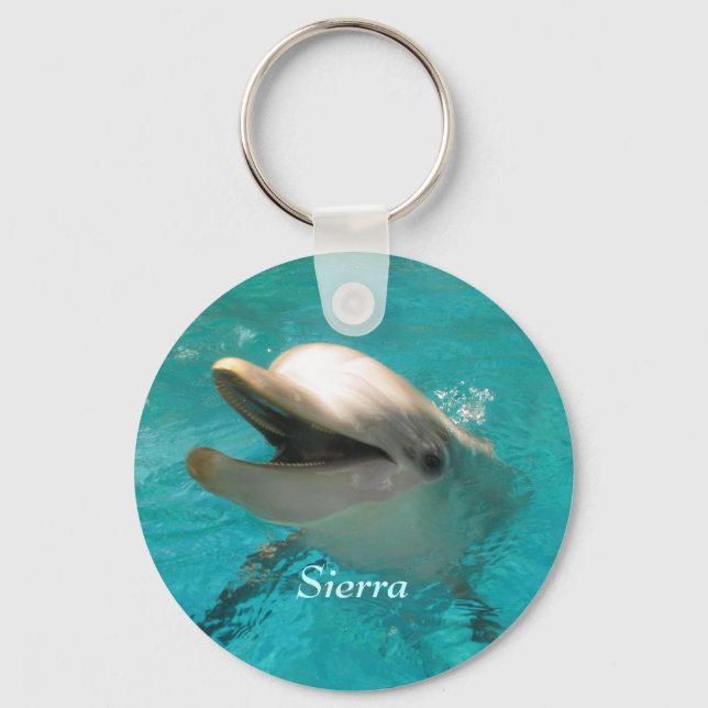 Smiling Dolphin Key Ring (Front)