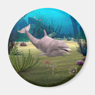 Smiling Dolphin Magnet