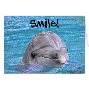Smiling Dolphin - Smile!