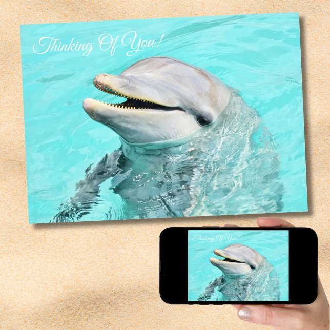 Smiling Dolphin Thinking Of You Card (Creator Uploaded)
