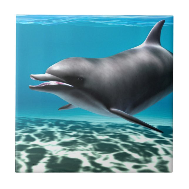 Smiling Dolphin Tile (Front)