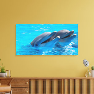 Smiling Dolphins Canvas Print