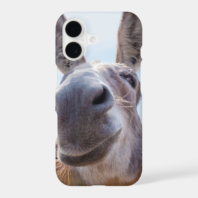 Smiling Donkey (Back)
