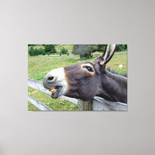 Smiling Donkey Animal Photography Wall Art