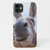 Smiling Donkey
