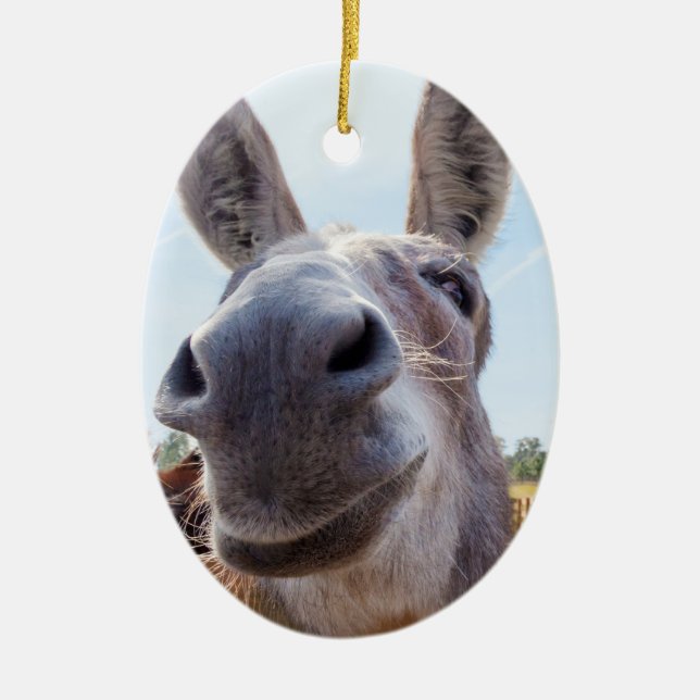Smiling Donkey Christmas Ornament (Front)