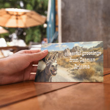 Smiling donkey, Oatman Arizona