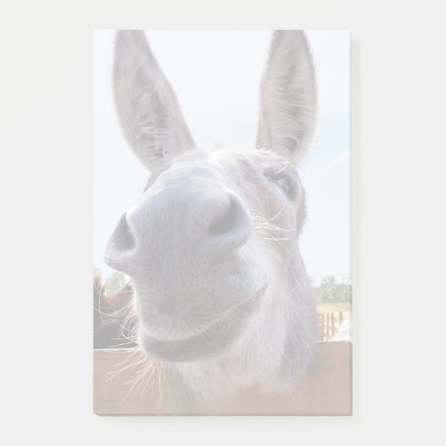 Smiling Donkey Post-It Notes (Front)
