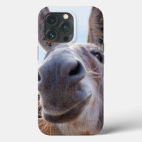 Smiling Donkey with Silly Grin