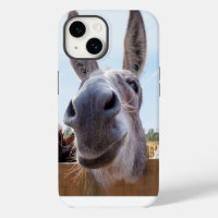 Smiling Donkey with Silly Grin