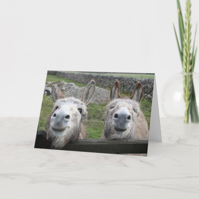 Smiling Donkeys! Card (Front)