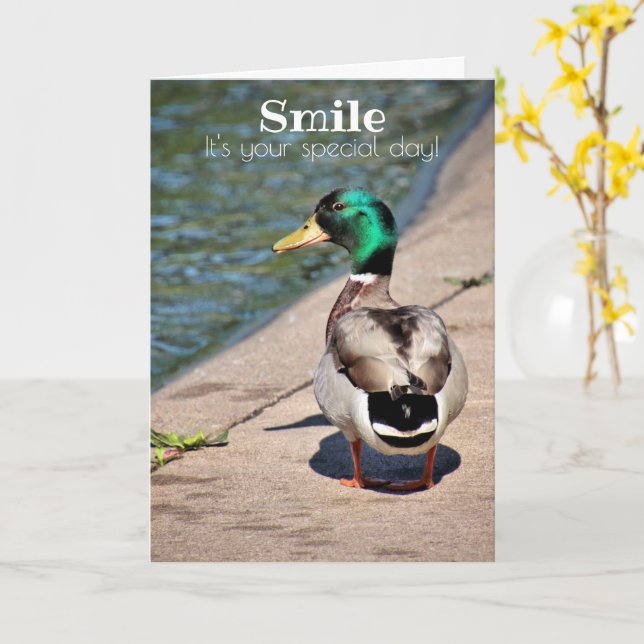 Smiling Duck Birthday Greetings Card (Yellow Flower)