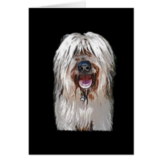 Smiling Fawn Briard
