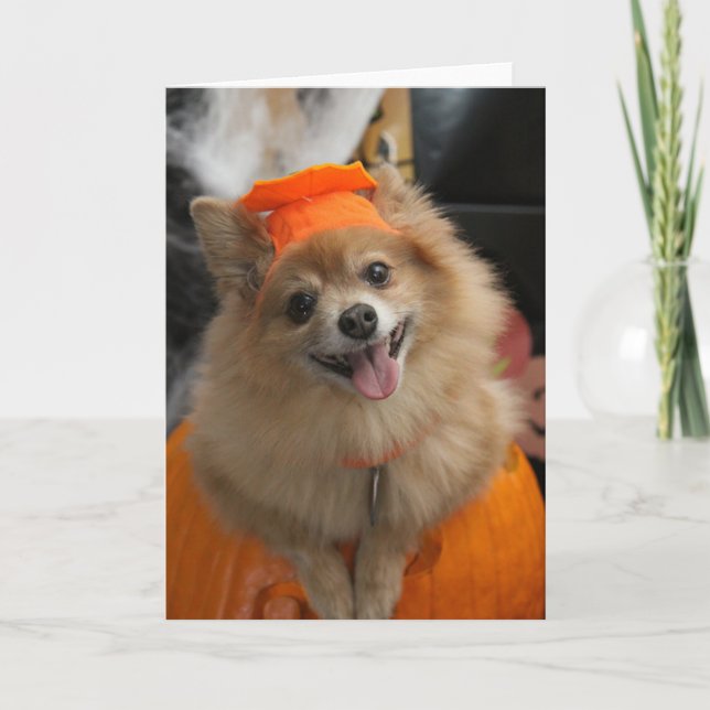 Smiling Foxy Pomeranian Puppy in Pumpkin Halloween Card (Front)
