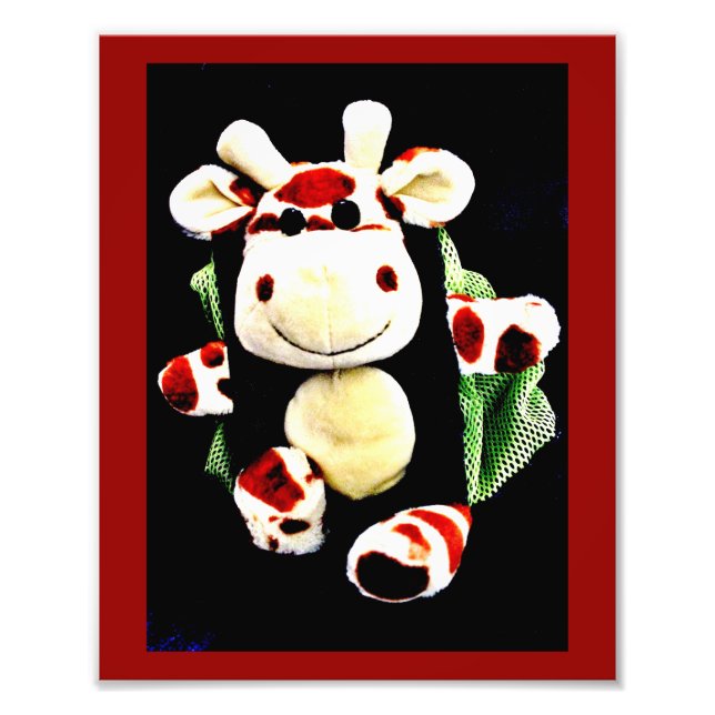 Smiling Giraffe Photo Print (Front)