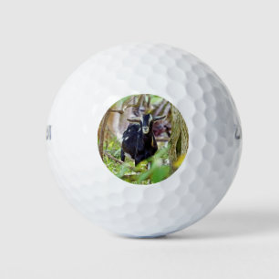 Smiling Goat Golf Balls