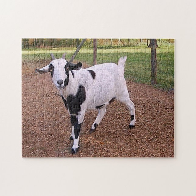 Smiling Goat Jigsaw Puzzle (Horizontal)
