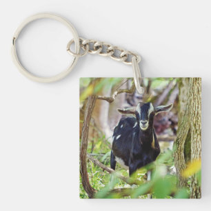 Smiling Goat Key Ring