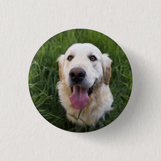 Smiling Golden Retriever 3 Cm Round Badge (Front)