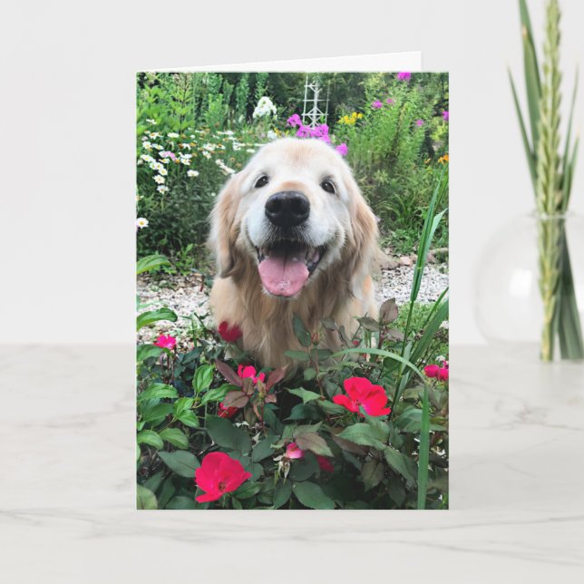 Smiling Golden Retriever Dog Among Flowers Blank Card (Front)
