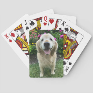 Smiling Golden Retriever Dog with Pretty Flowers Playing Cards
