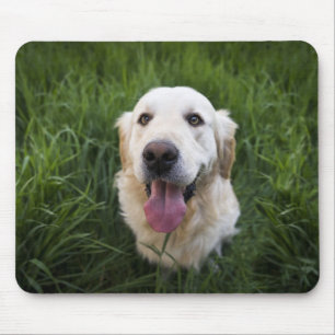 Smiling Golden Retriever   Mouse Pad