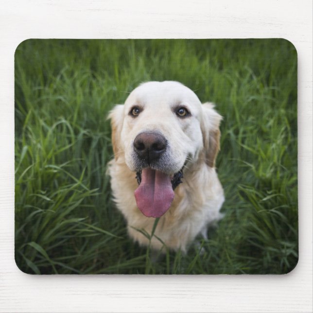 Smiling Golden Retriever   Mouse Pad (Front)