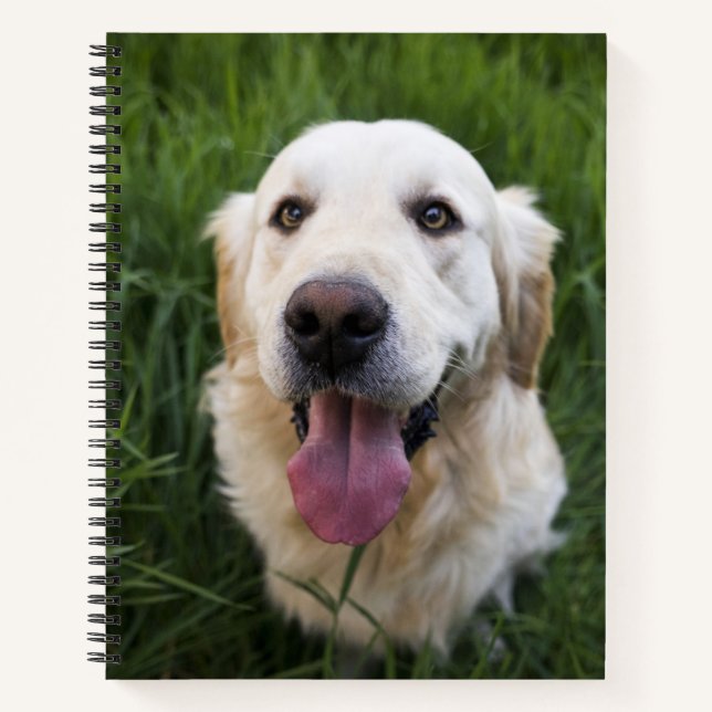 Smiling Golden Retriever   Notebook (Front)