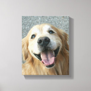 Smiling Golden Retriever Wrapped Canvas Print