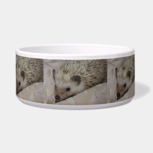 Smiling Hedgehog