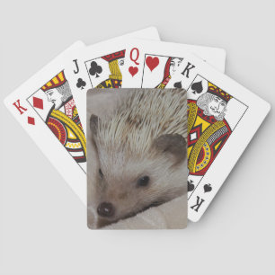 Smiling Hedgehog Playing Cards