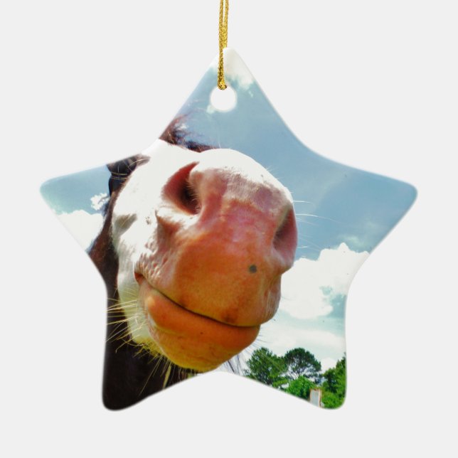 Smiling Horse Ceramic Tree Decoration (Front)