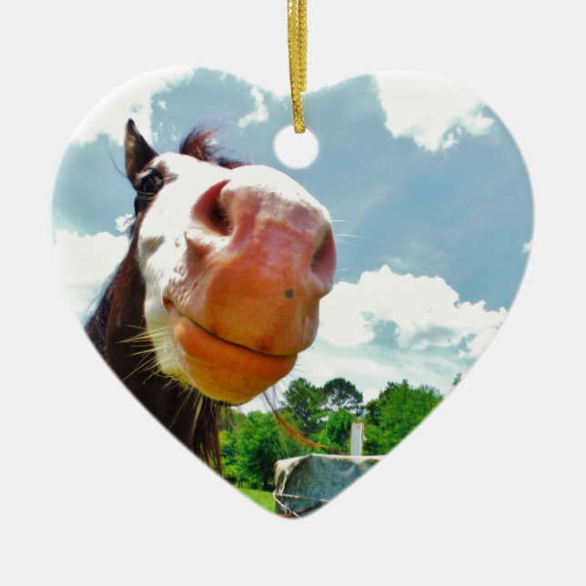 Smiling Horse Ceramic Tree Decoration (Front)