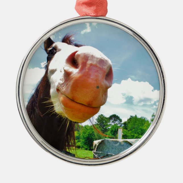 Smiling Horse Metal Tree Decoration (Front)
