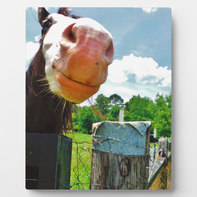Smiling Horse Plaque (Front)