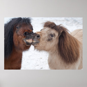 Smiling Horses Poster