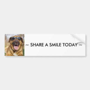 Smiling labrador Bumper sticker