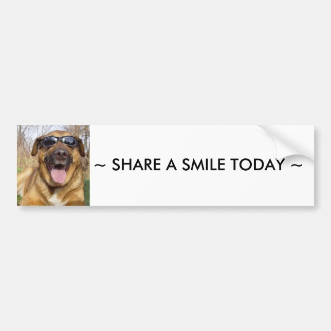 Smiling labrador Bumper sticker (Front)