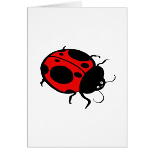 Smiling Ladybug  -