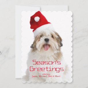 Smiling Lhasa Apso Dog Wearing Santa Hat Holiday Card