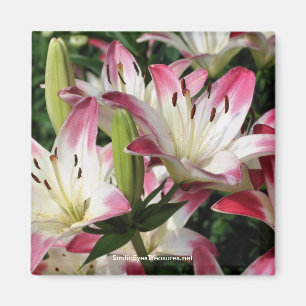 Smiling Lilies Flower Photography Magnet