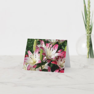 Smiling Lilies Flower Photography Note Card