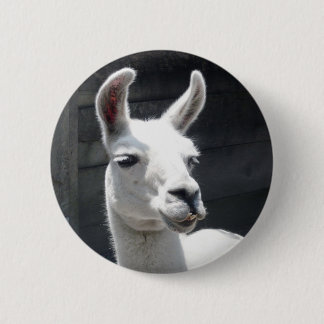 Smiling Llama Button