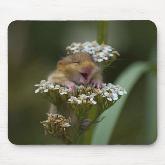 Smiling Mousie on Flower Mouse Pad (Front)