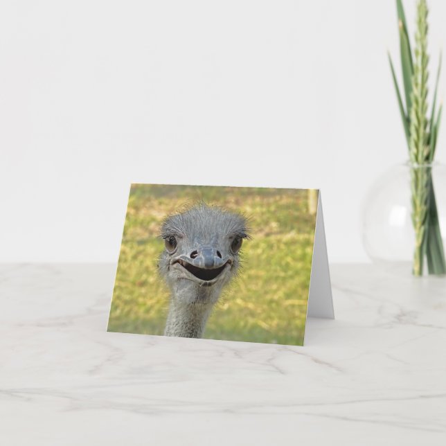 Smiling Ostrich Note Card (Front)